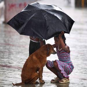 girl-umbrella-protect-stray-dog-monsoon