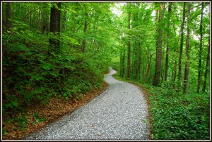 9412188580_db93fb123d_b