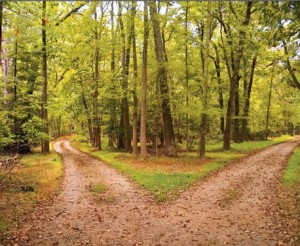 13merrow-e1367520155243-300x246