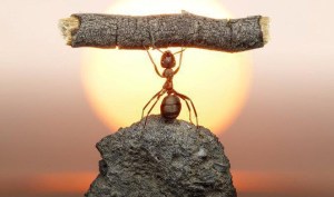 Nothing-is-IMPOSSIBLE1